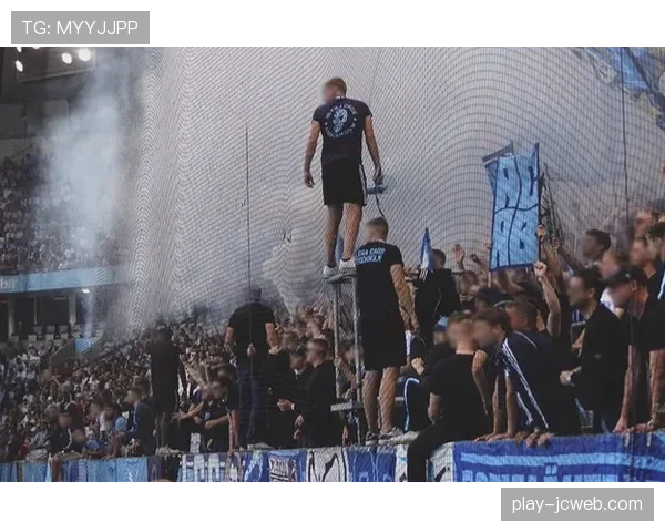 现场:球迷闯入赛场导致比赛中断五分钟,已被安保带离